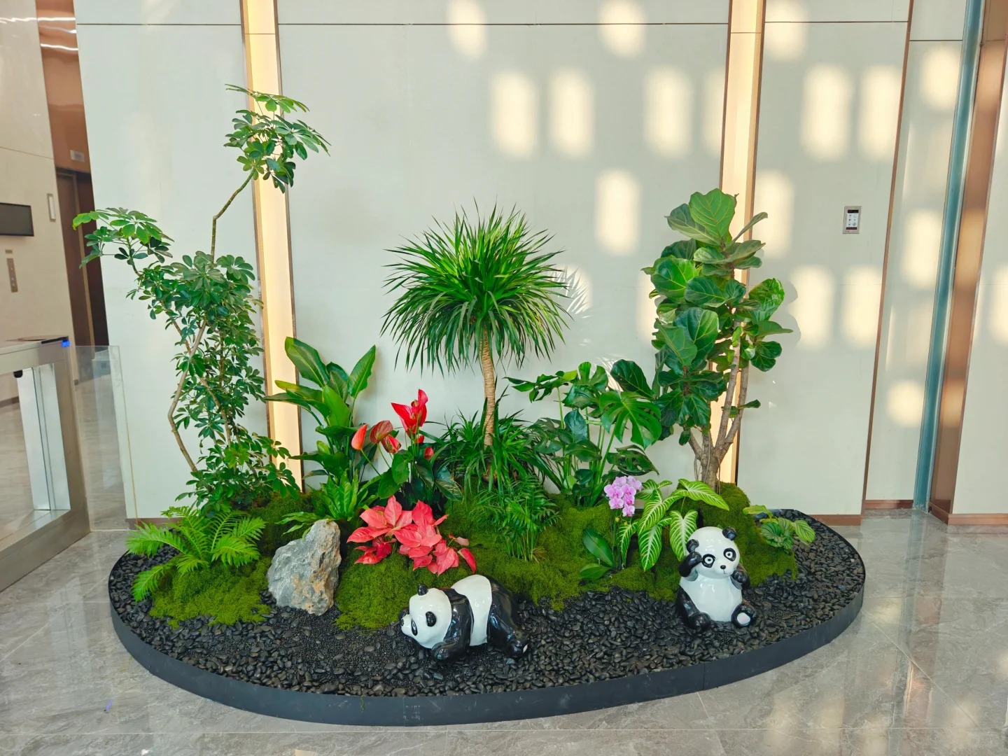 余姚植物租摆价格全解析，一文看懂！